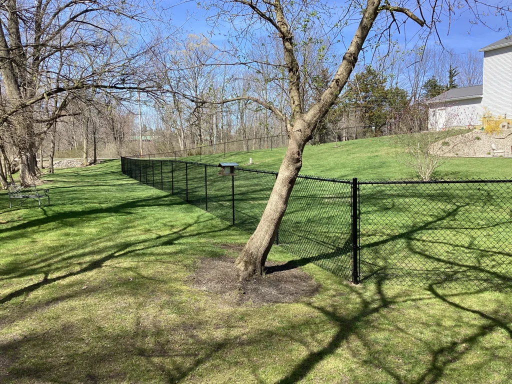 A long run of black vinyl-coated chain-link fencing follows the property line of a grassy sloped yard with several trees